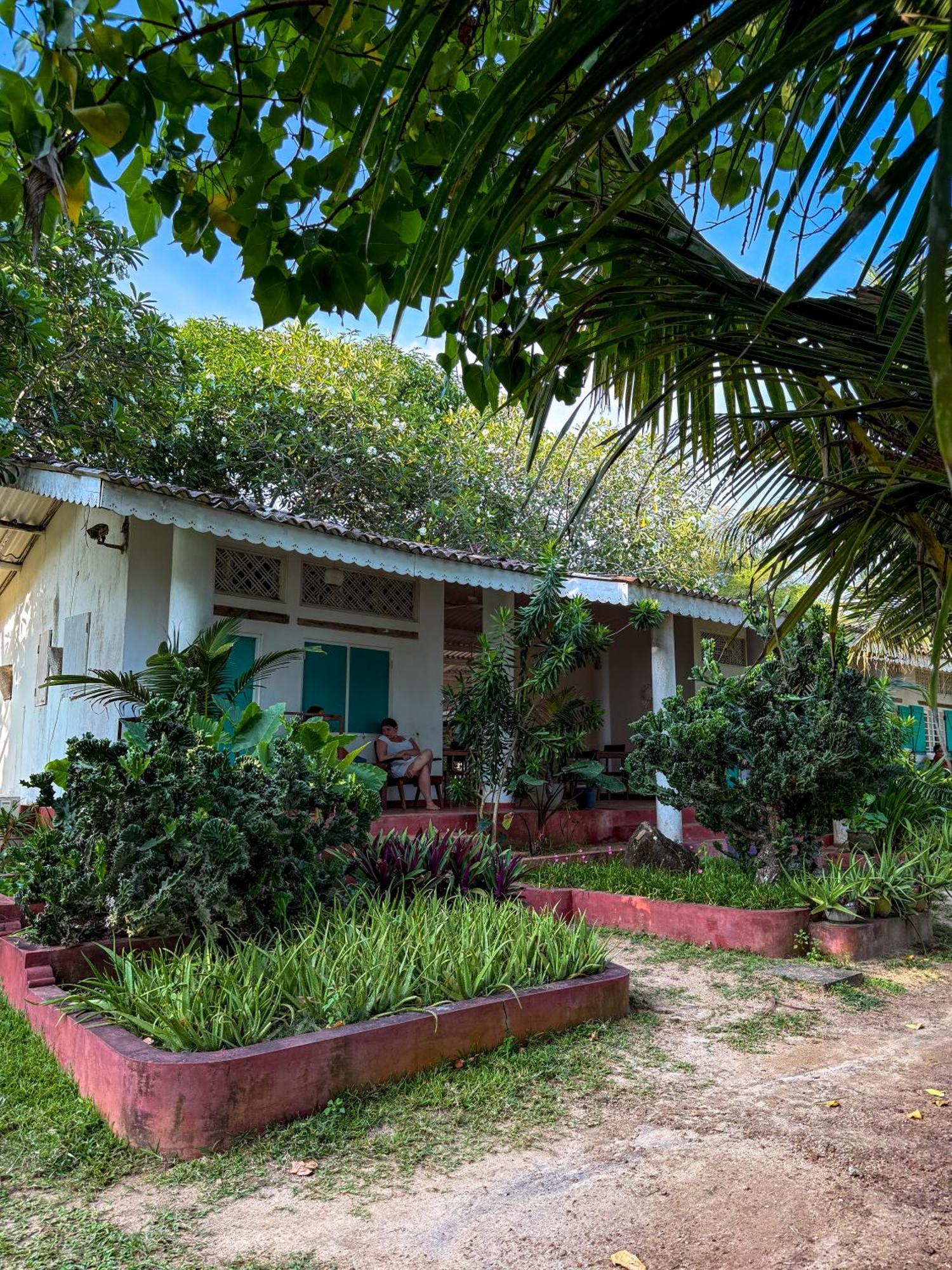 Palm Villa Mirissa Hotel&Spa ภายนอก รูปภาพ